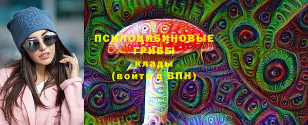 ECSTASY Бородино