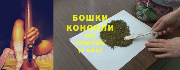 ECSTASY Бородино
