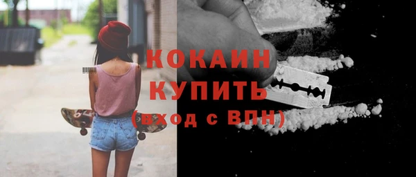 ECSTASY Бородино