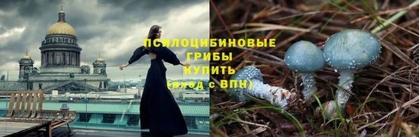 стаф Бронницы